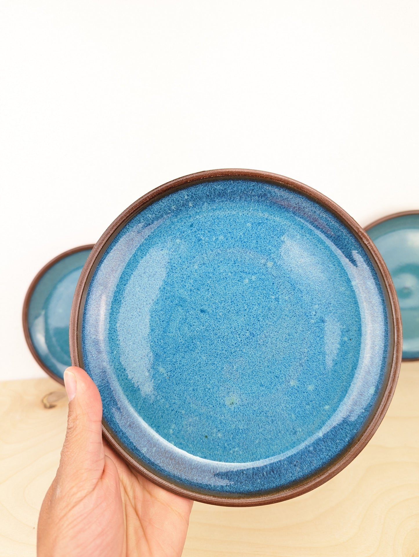 Red and Blue Plate