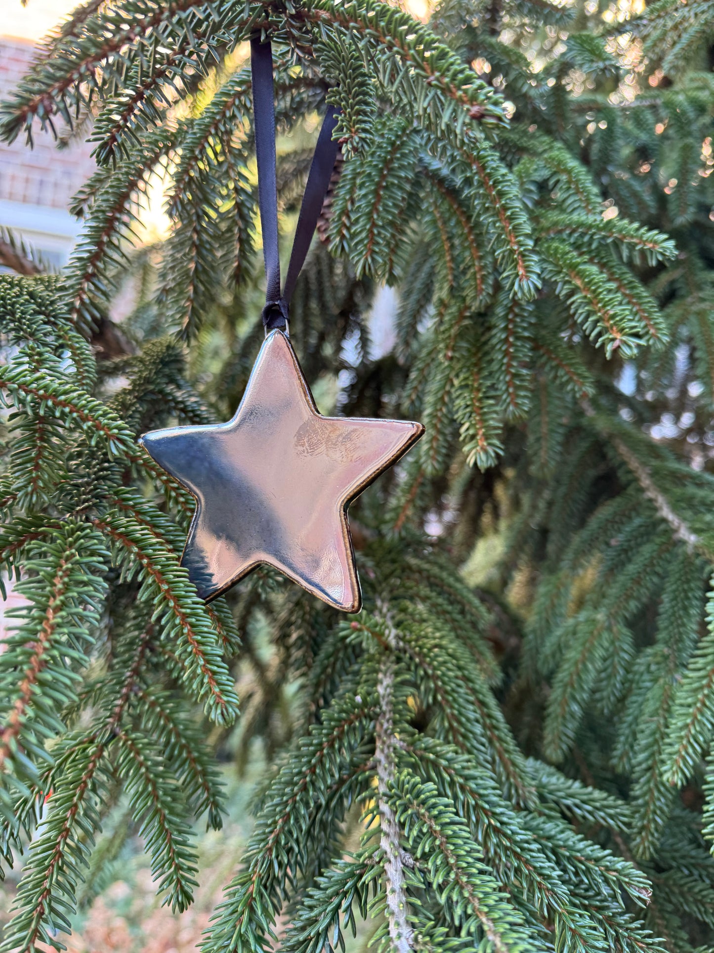 Silver Star Ornamnets