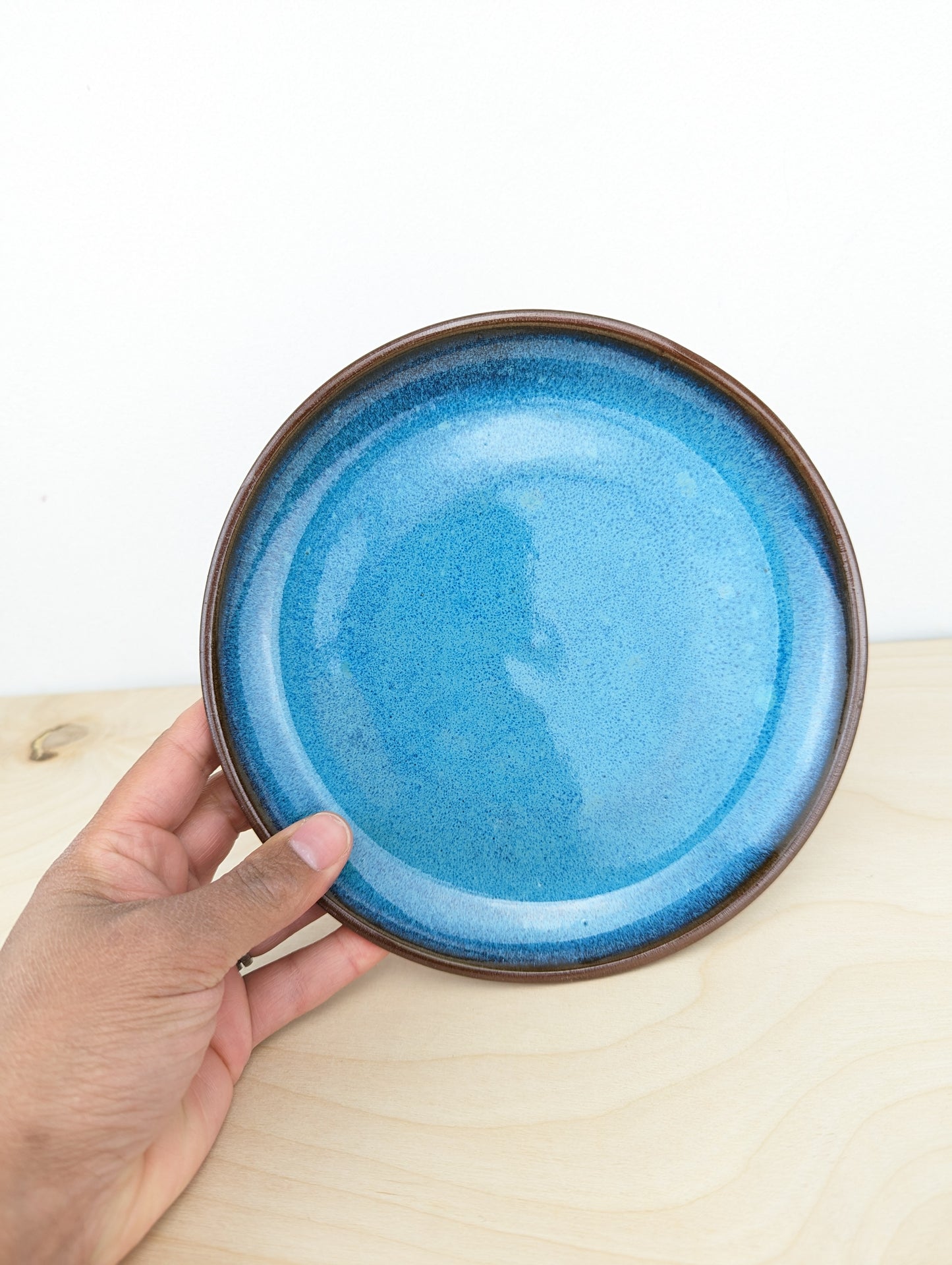 Red and Blue Plate