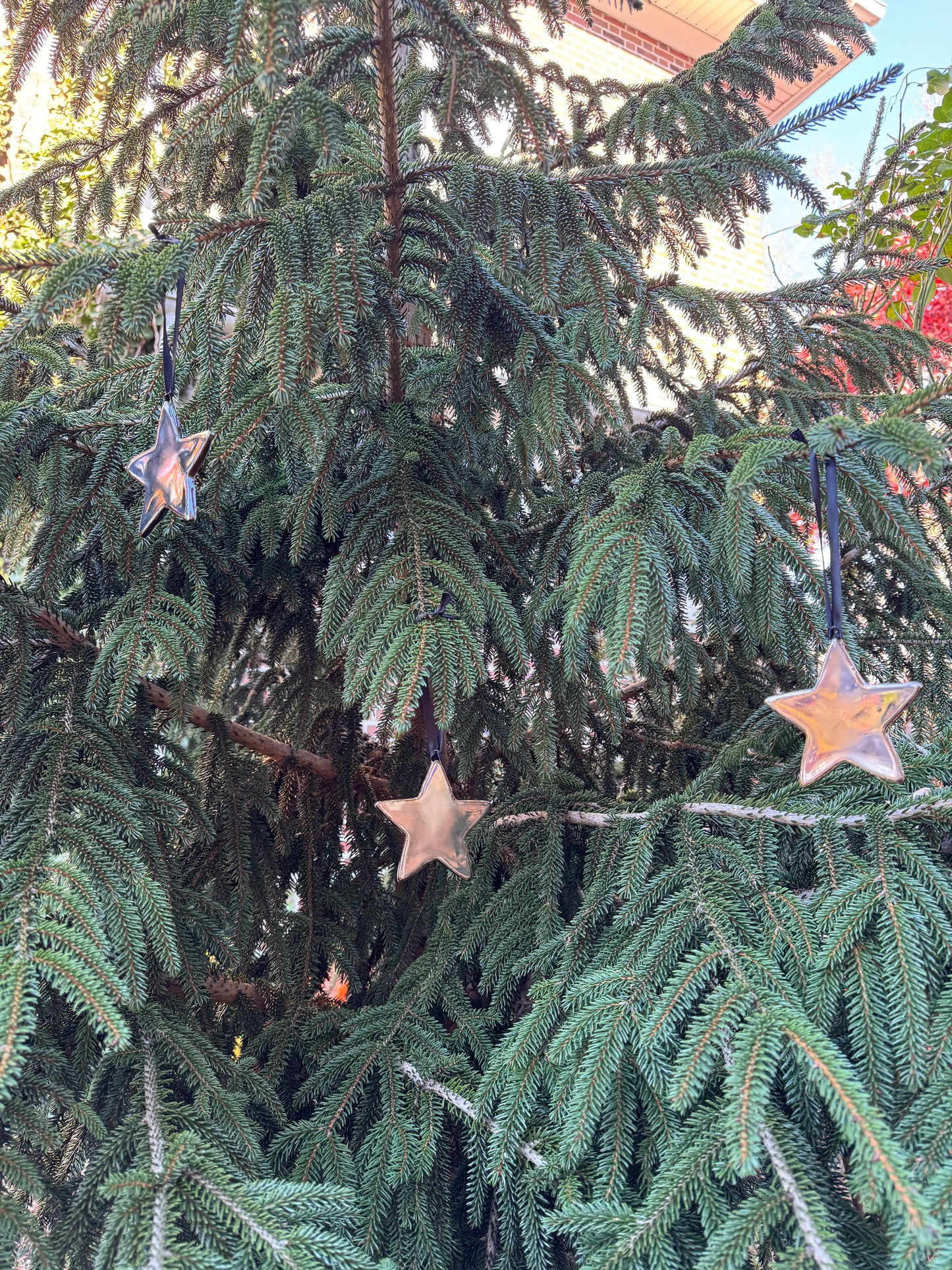 Silver Star Ornamnets