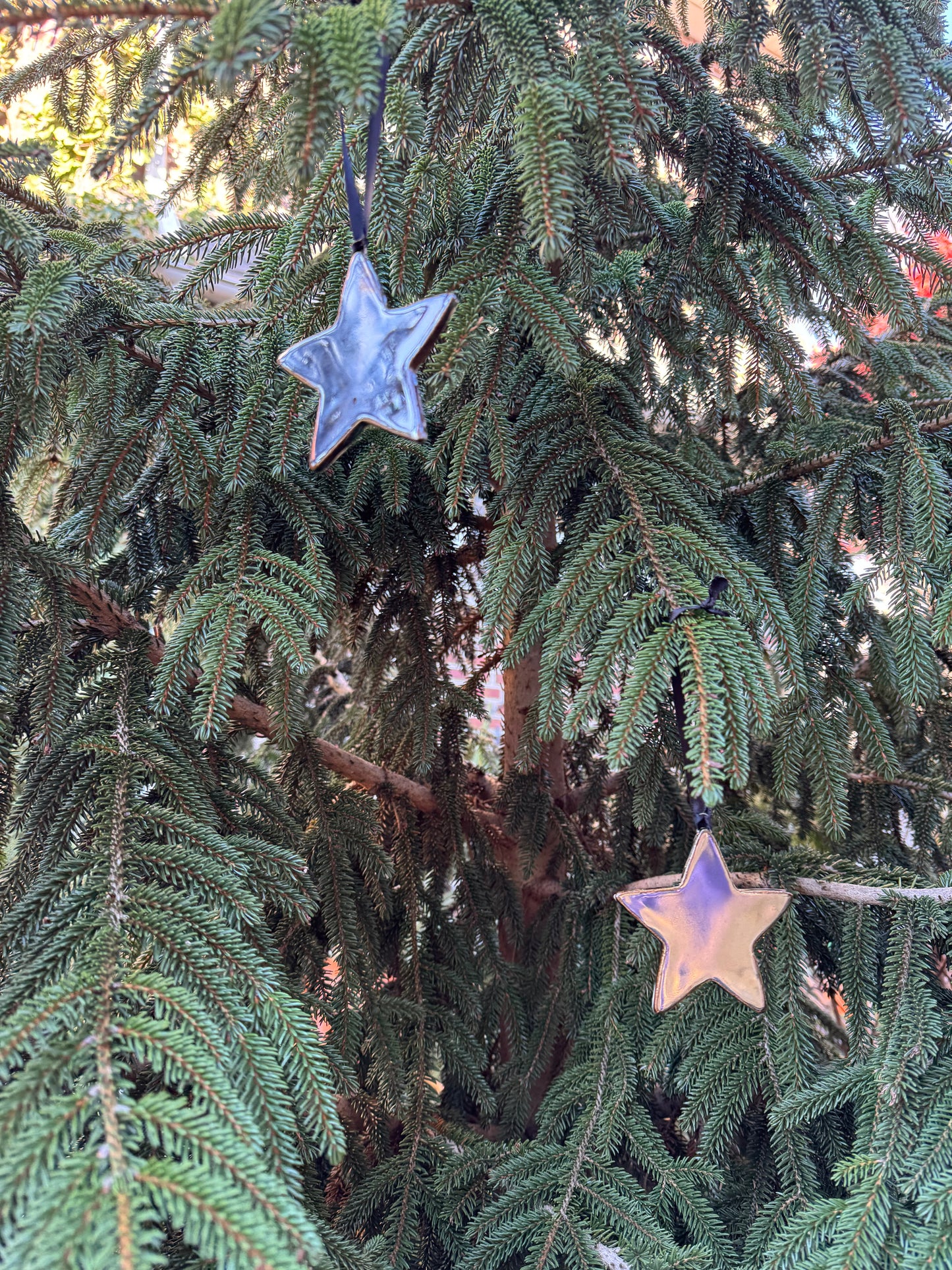 Silver Star Ornamnets