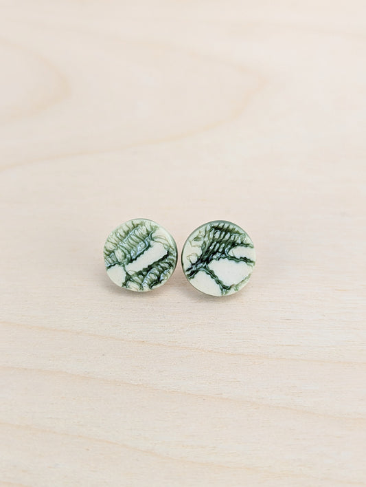 Forrest Green and White Lace Studs